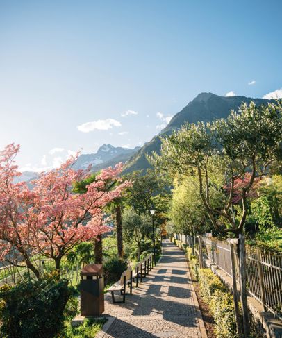 Primavera a Tirolo