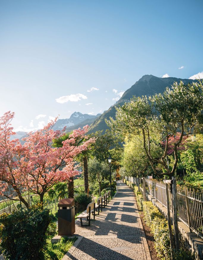 Frühling in Dorf Tirol