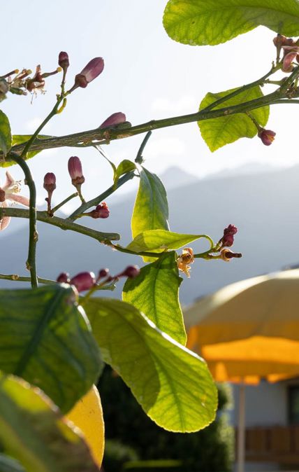 2025-05-hotel-laurin-136