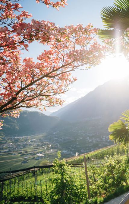 Primavera a Tirolo