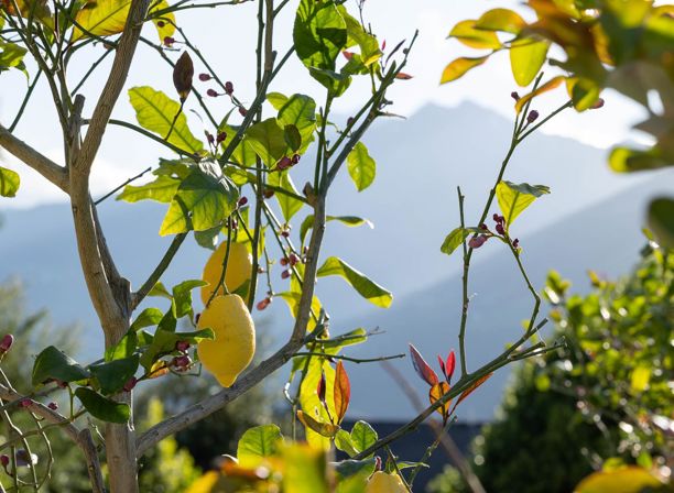 2025-05-hotel-laurin-134